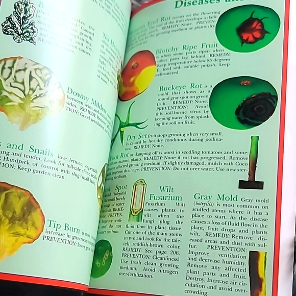 INDOOR GARDENING BIBLE - Picture 5 of 7